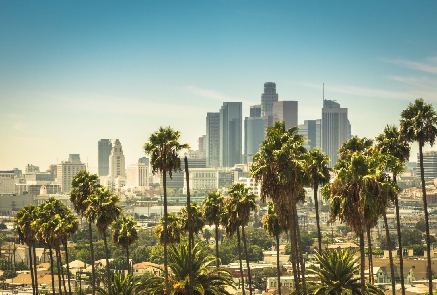 Sell My Car In Los Angeles Carvio Sell You Car in San Diego Today 🚗 ️